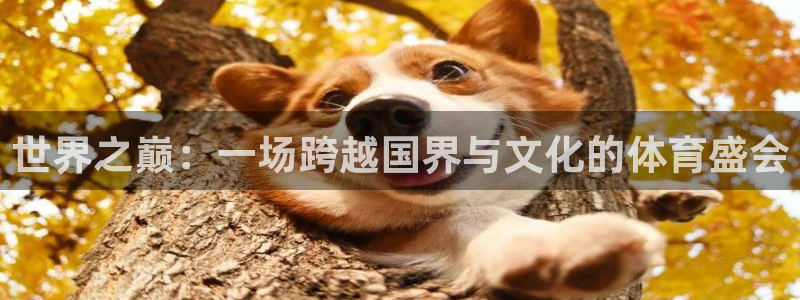 谈球吧体育