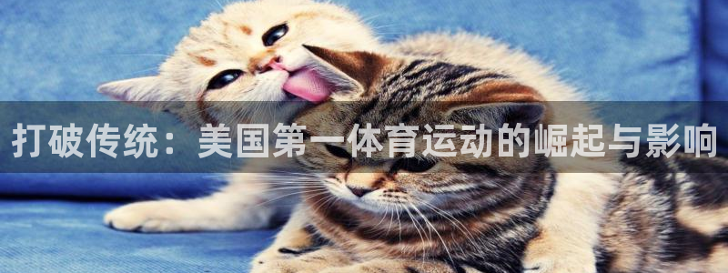 谈球吧