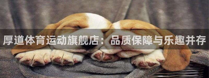 谈球吧体育