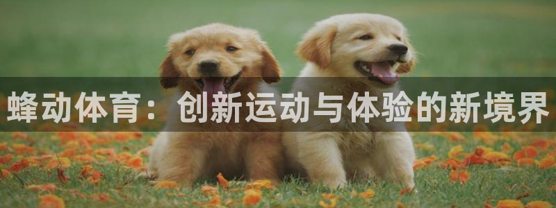 谈球吧体育