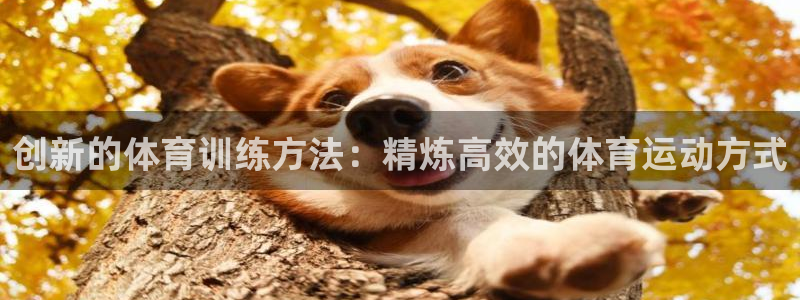 谈球吧体育官网