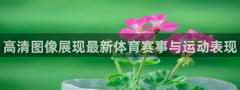 谈球吧