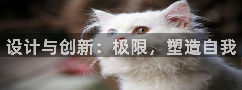 谈球吧体育官网