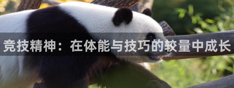 谈球吧体育