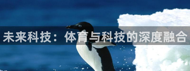 谈球吧体育官网