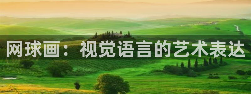 谈球吧体育官网